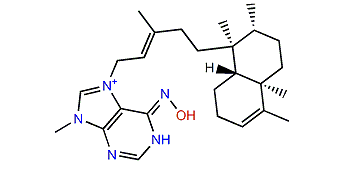 Ageloxime B